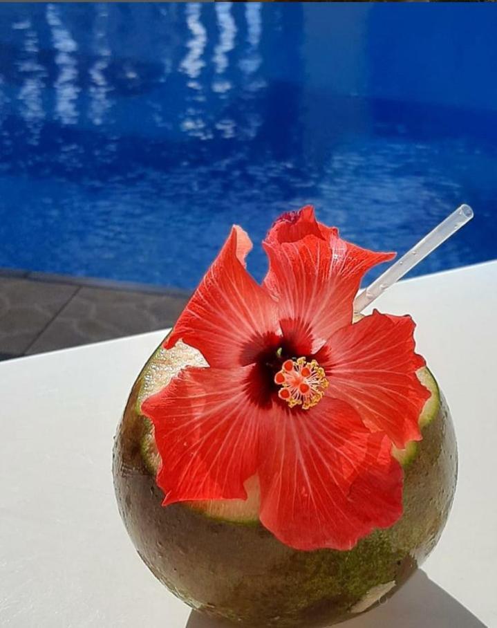 Pousada Florais Do Atlantico Estância 外观 照片